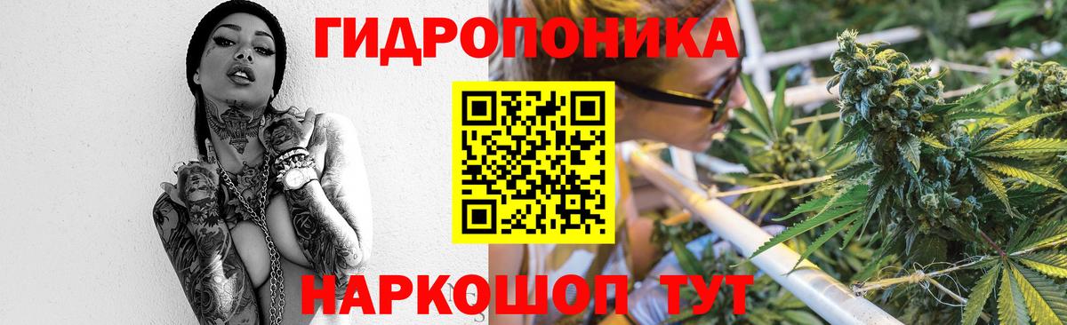 Каннабис OG Kush  Бошки марихуана марихуана  МАРИХУАНА индика  Кирово-Чепецк  Вход с VPN  МАРИХУАНА индика 